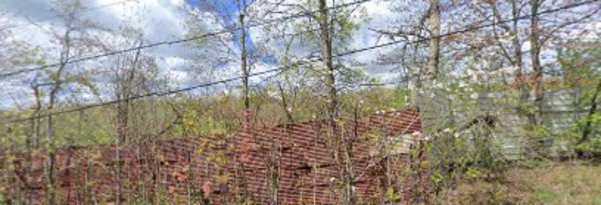 44 Auto Parts & Wrecking – Auto wrecker In Ravenna OH 44266