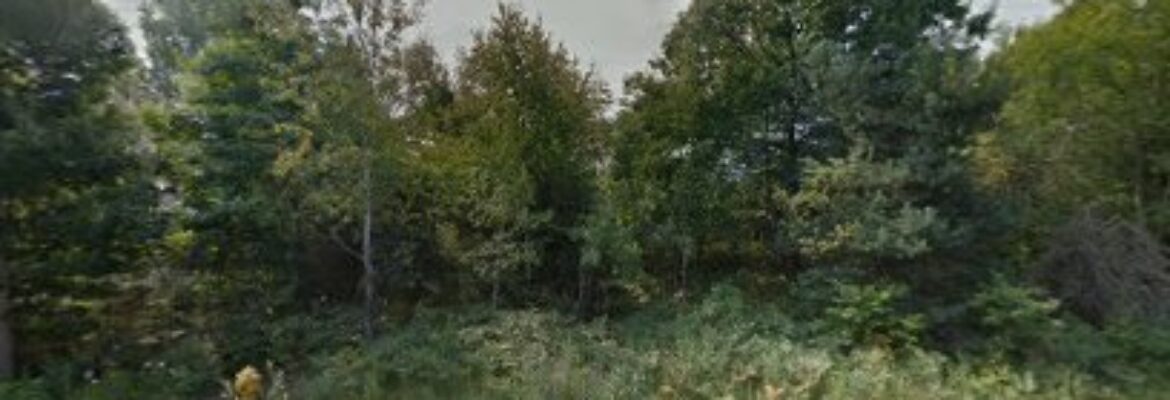 A To Z Auto Parts – Auto parts store In Spring Lake MI 49456