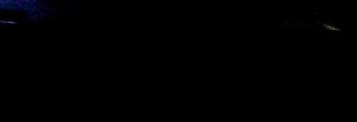 Arguelles Automotive Parts – Auto parts store In Biloxi MS 39532