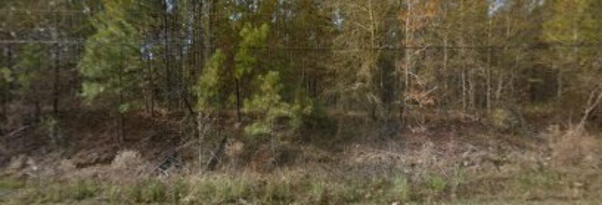 Barnette’s Auto Parts – Used auto parts store In Sumter SC 29154