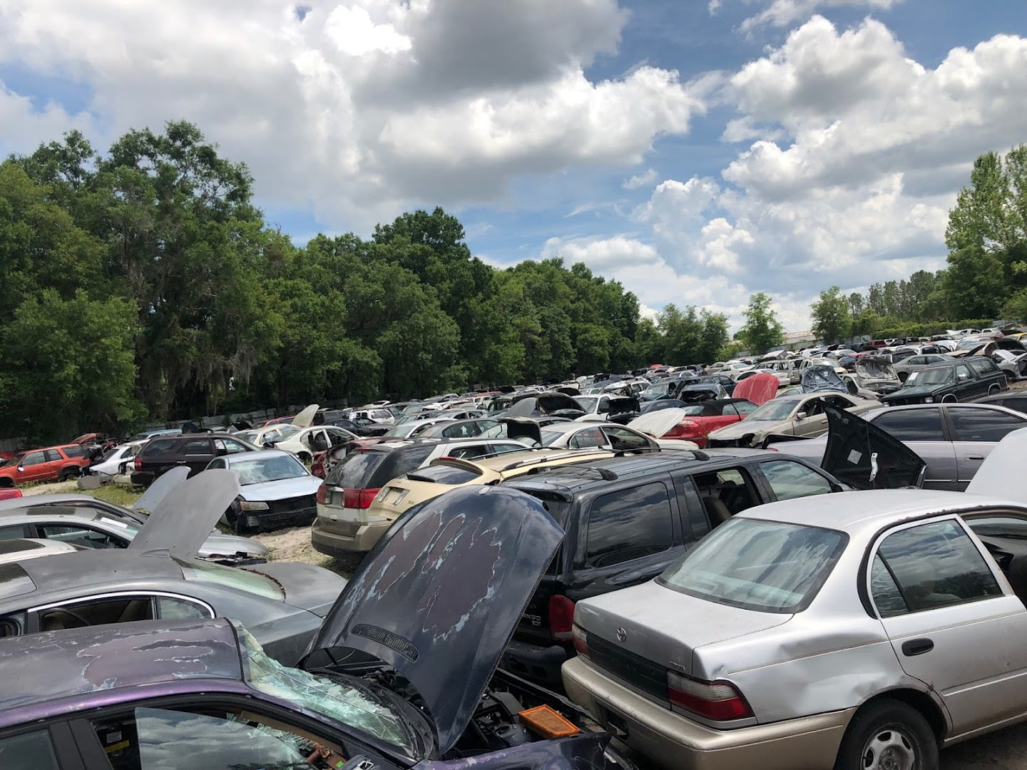 Big Sun Auto Salvage Used auto parts store In Ocala FL 34480