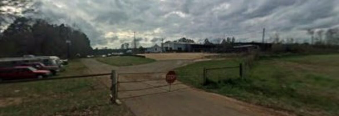 Bison Auto Salvage – Car repair and maintenance In Many LA 71449