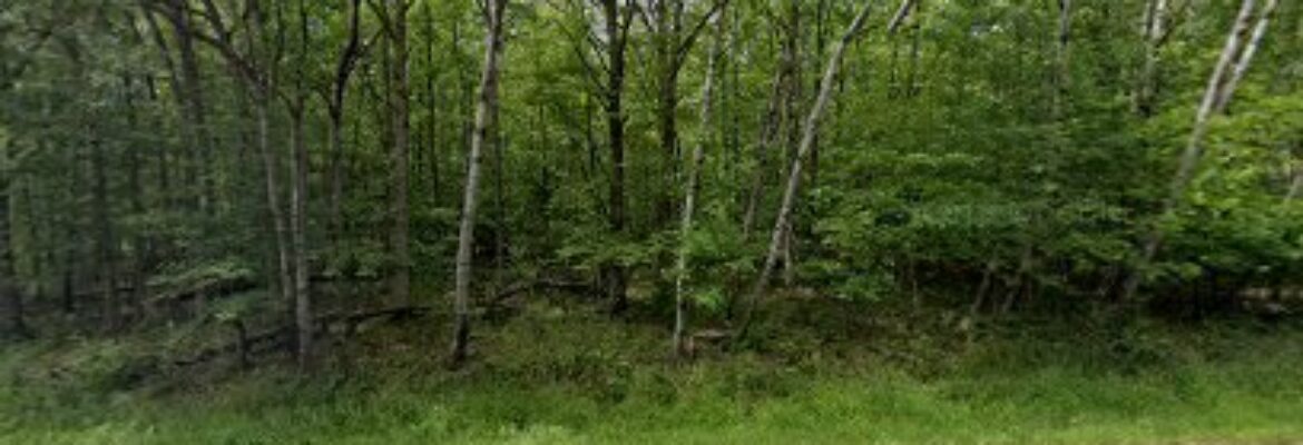 Bob’s Auto Salvage – Auto wrecker In Rice Lake WI 54868