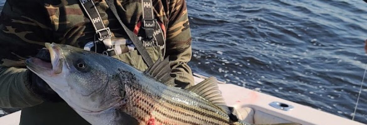 C & C Auto Parts II – Auto parts store In Philadelphia PA 19153