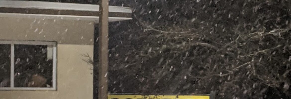 Corvette Paramedics – Auto parts store In Mt Holly NJ 8060