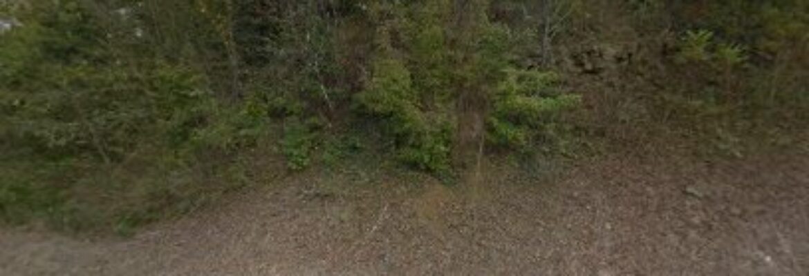 Cowgar Auto Body Sales & Shop – Auto repair shop In Buckhannon WV 26201