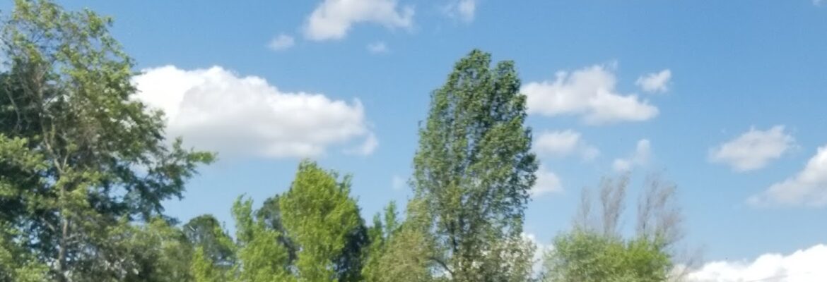 Dons Auto Body & Salvage – Auto repair shop In Gassville AR 72635