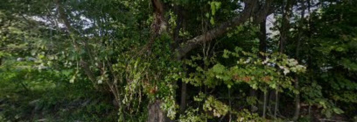 Epping Auto – Lodging In Epping NH 3042