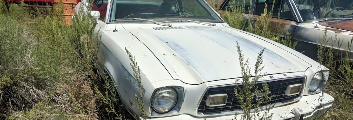 Ernest Auto Wrecking & Truck – Used car dealer In La Jara CO 81140