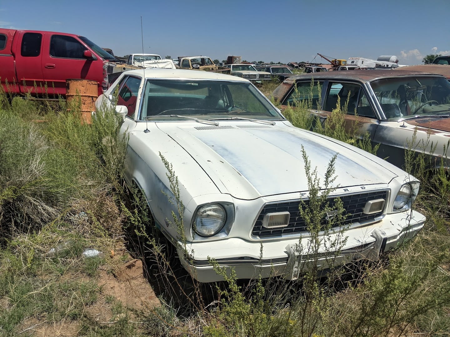 Ernest Auto Wrecking & Truck Used car dealer In La Jara CO 81140