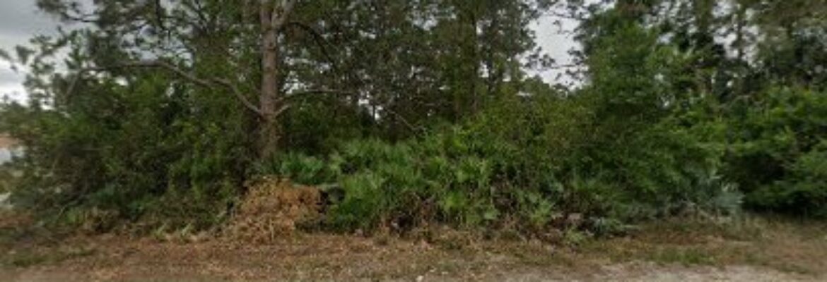 Gary Yeomans Ford Palm Bay Parts – Auto parts store In Palm Bay FL 32907