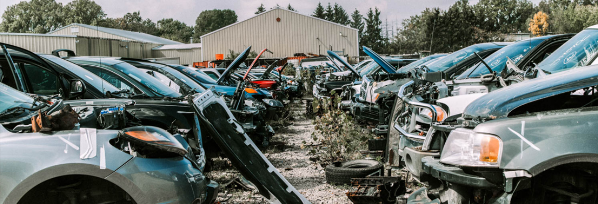 Grandpa John’s Pick & Pull – Auto wrecker In Green Bay WI 54303