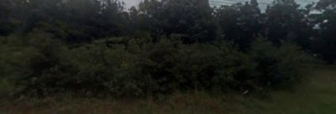 Green’s Used Cars – Auto wrecker In Benton KY 42025