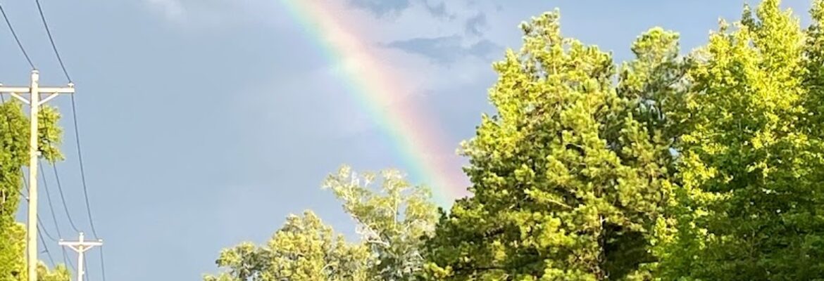 Harvey Campbell’s Junk Yard – Junkyard In Columbia SC 29209