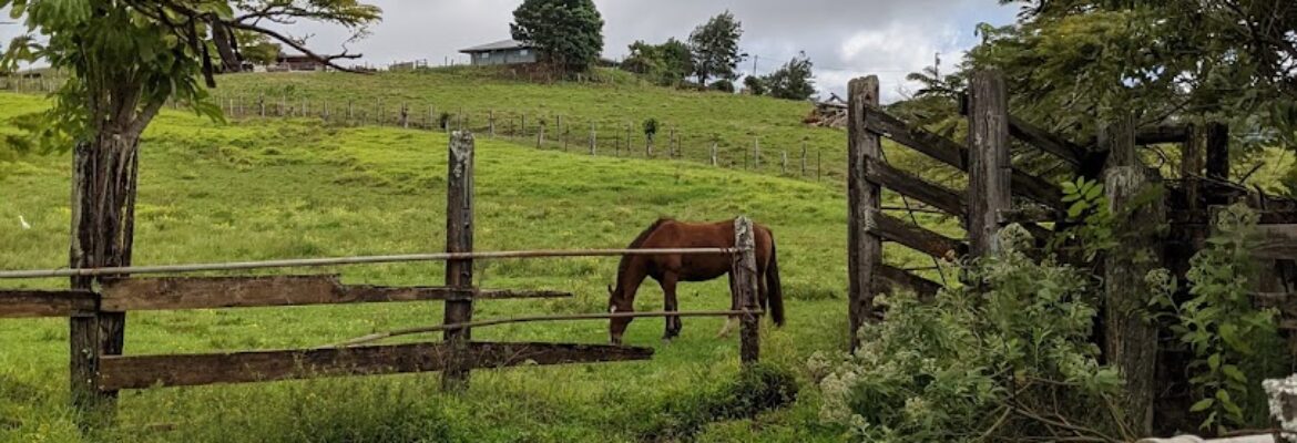 Herman’s Repairs Auto Wrecking – Auto repair shop In Haiku HI 96708