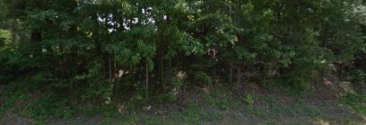 Highway 11 Auto Parts – Auto parts store In Alabama 35188 Alabama 35188