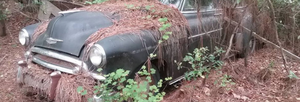 Junk Cars – Junkyard In Pelion SC 29123