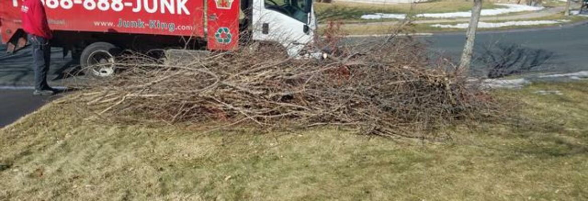 Junk King Washington DC – Garbage collection service In Capitol Heights MD 20743