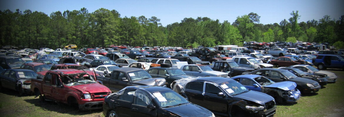 Lewis Auto Parts – Used auto parts store In Leland NC 28451