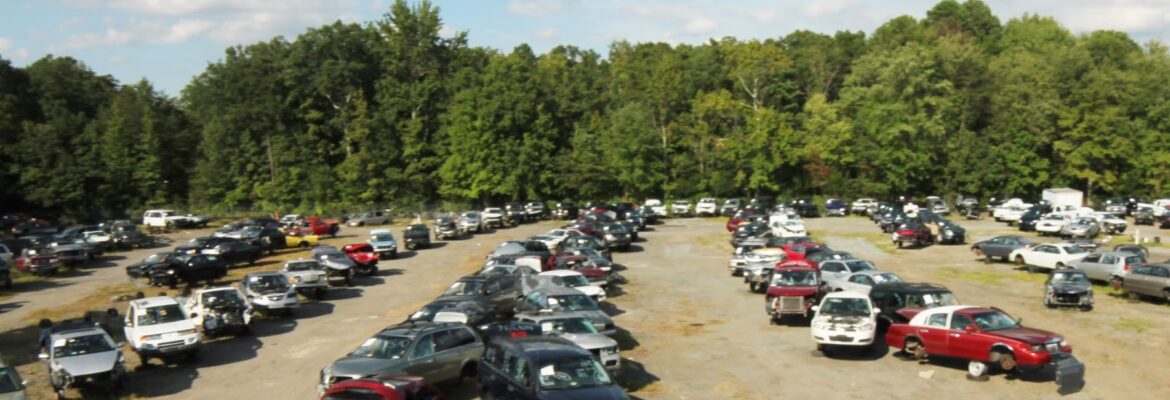 Lew’s Auto Service & Salvage – Auto parts store In Spotsylvania Courthouse VA 22551