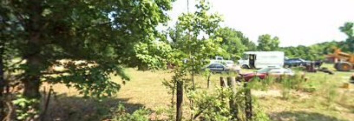 Mcqueen Salvage & Auto Repair – Auto repair shop In Hope Hull AL 36043