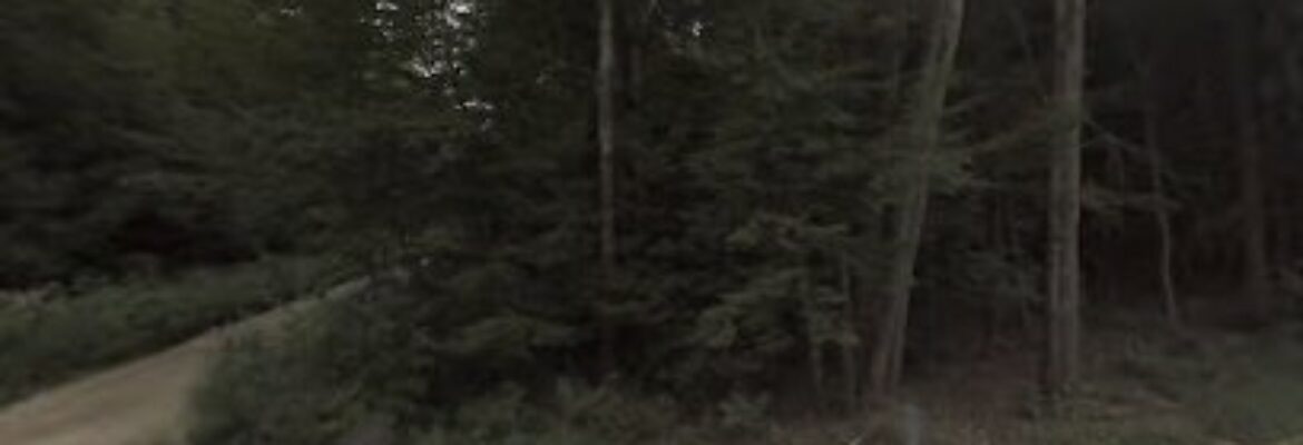 Menard Automotive Sales – Auto parts store In Chester NH 3036