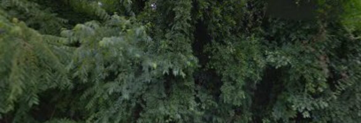 NC Auto Salvage Inc – Auto wrecker In Hendersonville NC 28792