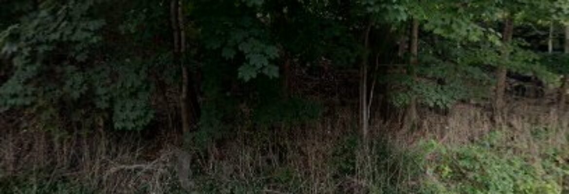 Newton Auto – Auto parts store In Newton NJ 7860