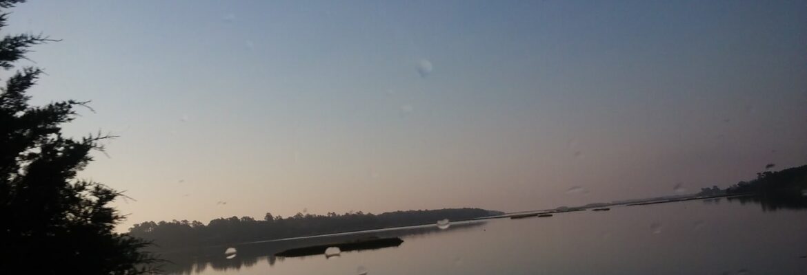 Odum’s Garage & Auto Salvage – Auto wrecker In Hubert NC 28539