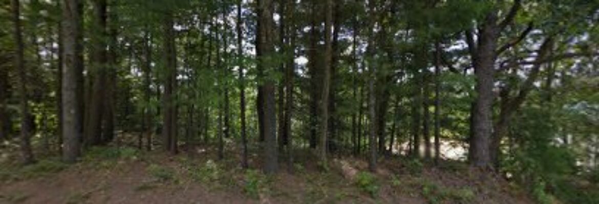 P3’s auto salvage – Junkyard In Belmont NH 3220