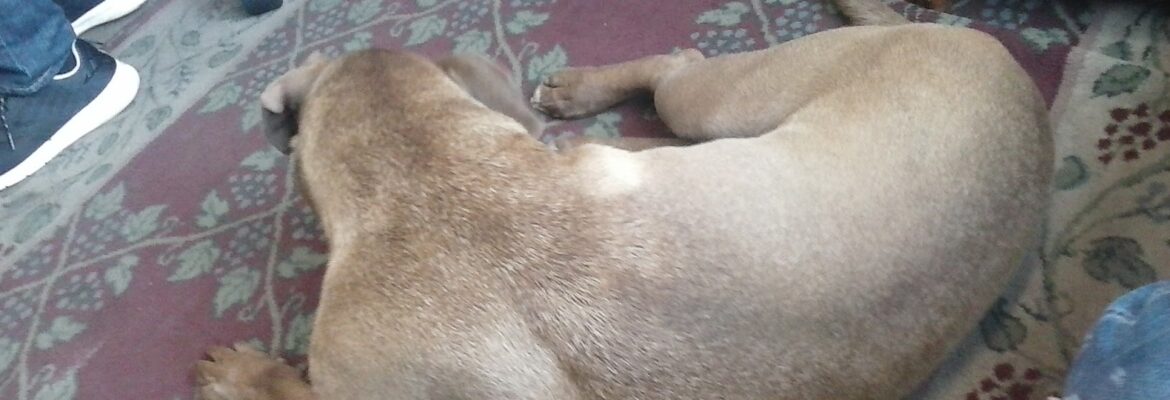 Pars Auto Parts – Used auto parts store In Nashville TN 37210