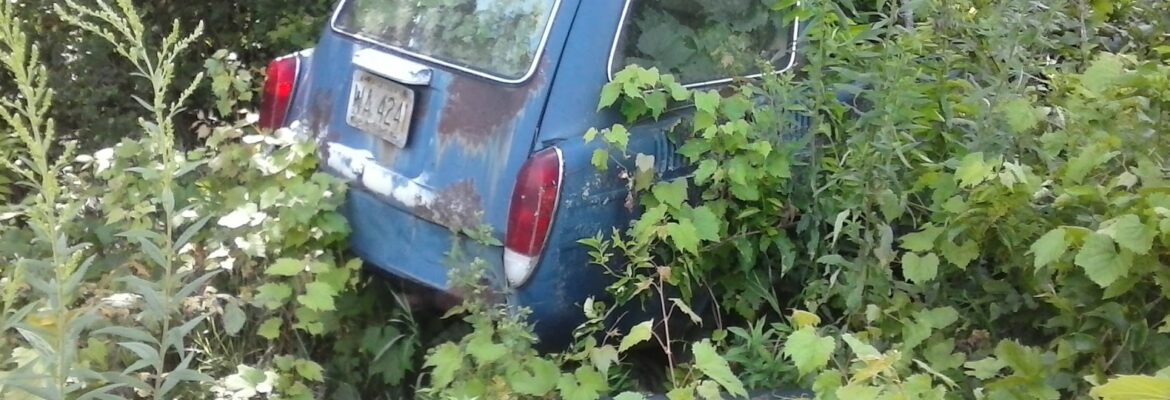 Ray’s Salvage & Repair – Salvage yard In Trempealeau WI 54661