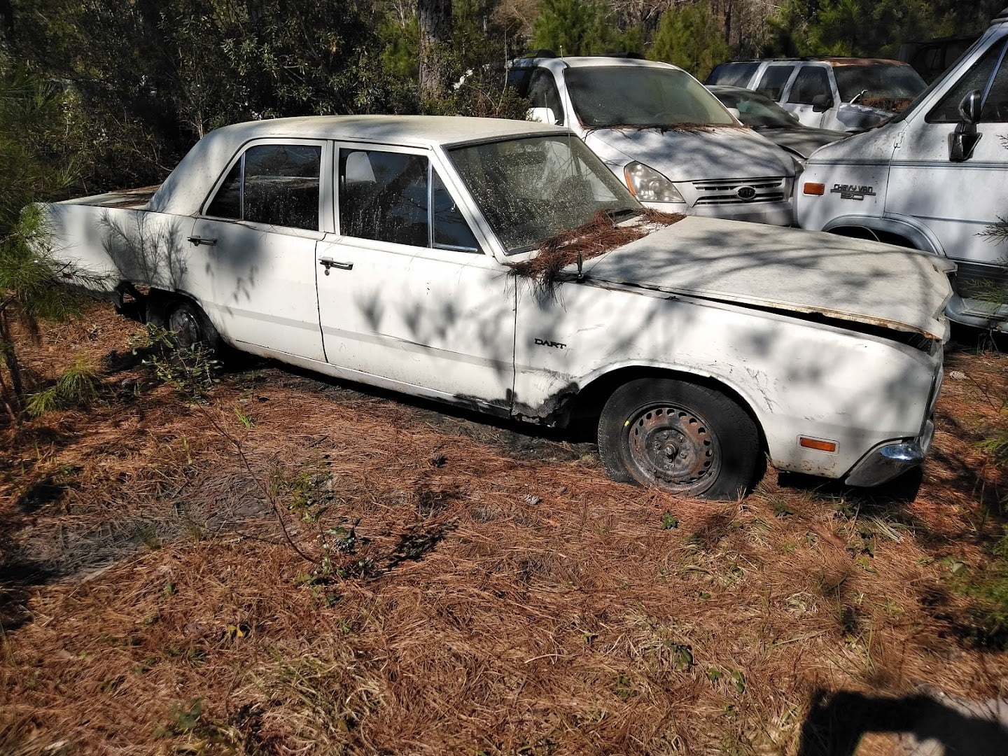 Riley Automotive Recycling Enterprise Salvage yard In Nashville GA