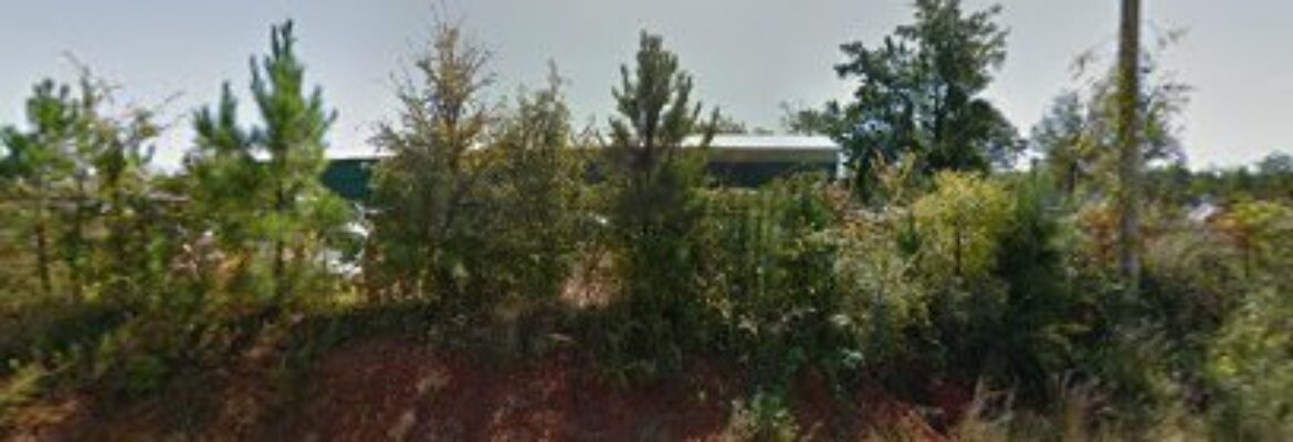 S & S Auto & Truck Parts Inc – Used car dealer In Leesville SC 29070