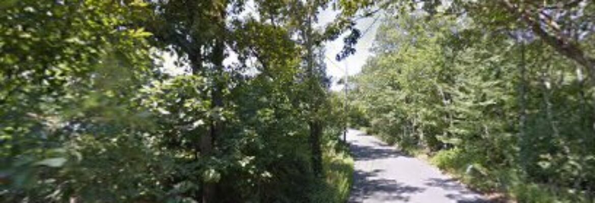 Stewarts Auto Salvage – Auto parts store In Plainville MA 2762