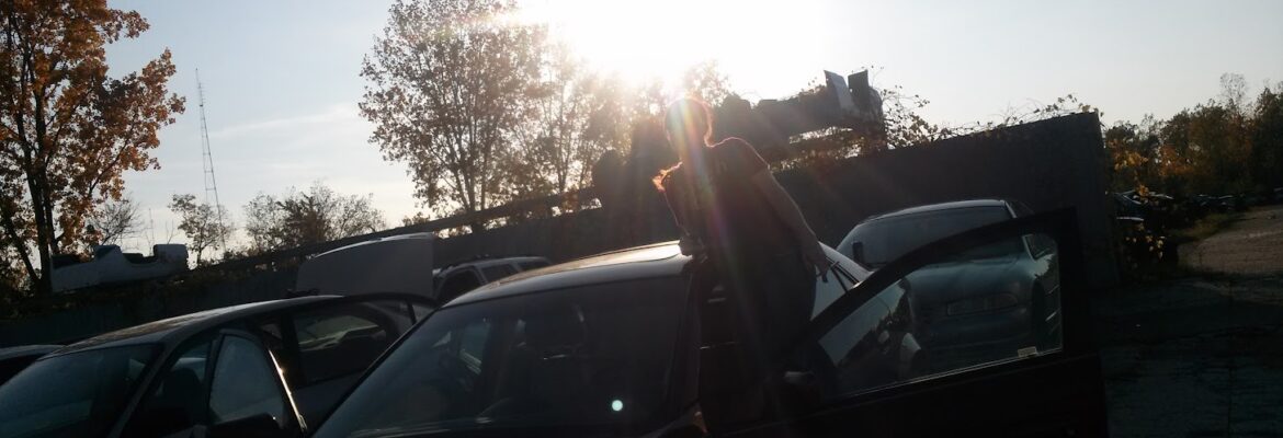 Tiger Auto Salvage LLC – Salvage yard In Burton MI 48529