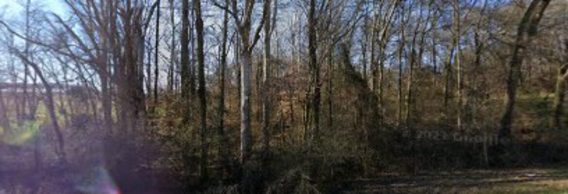 Wildcat Auto Parts – Store In Royston GA 30662