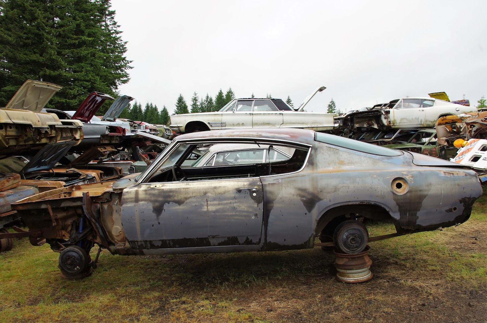 Wildcat Auto Wrecking Used auto parts store In Sandy OR 97055 Junkyard Map