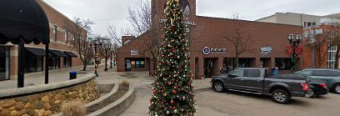 eRepairables.com – Auto market In Mt Clemens MI 48043